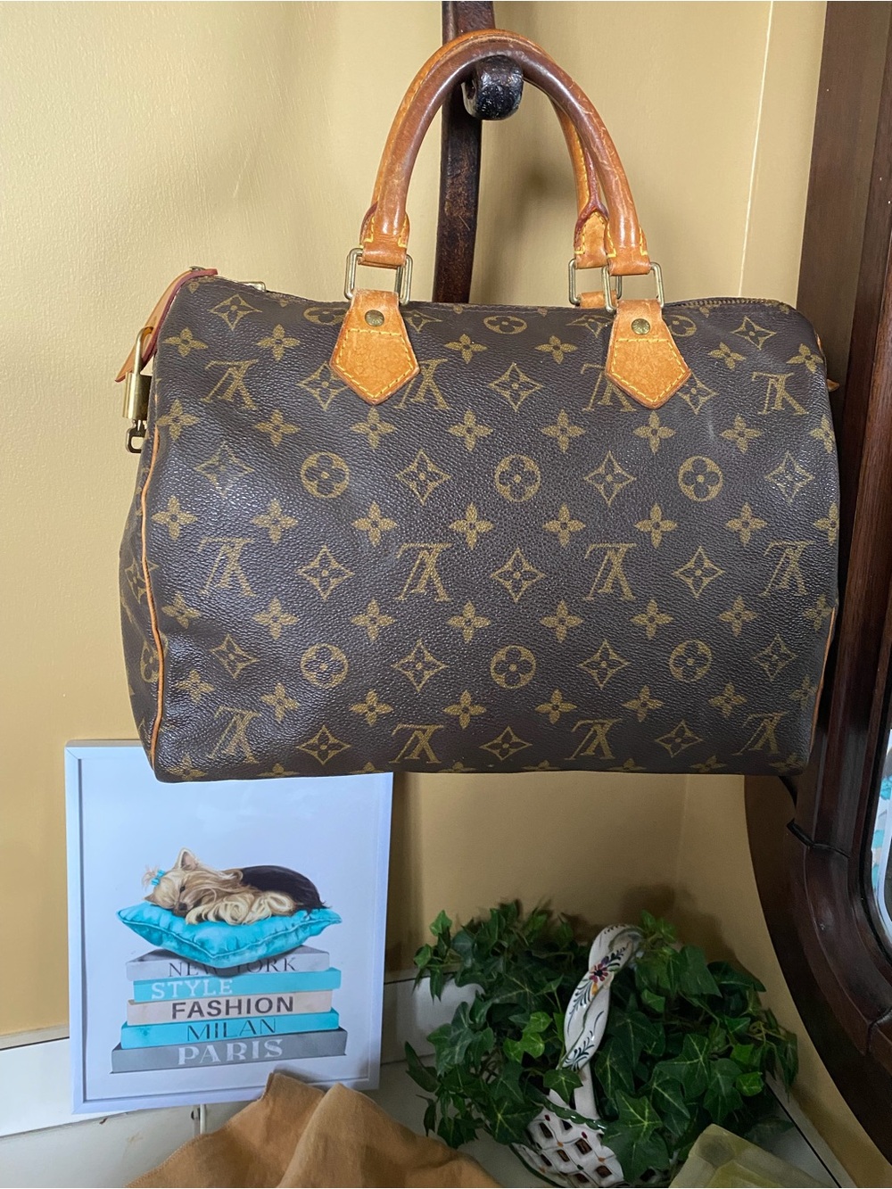 Louis Vuitton Monogram Canvas Speedy Handbag in Brown & Tan